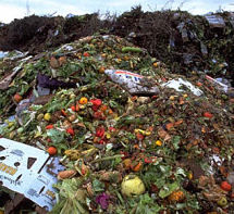 food_opt