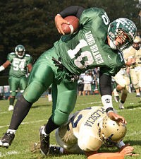 Is high school football an endangered species?